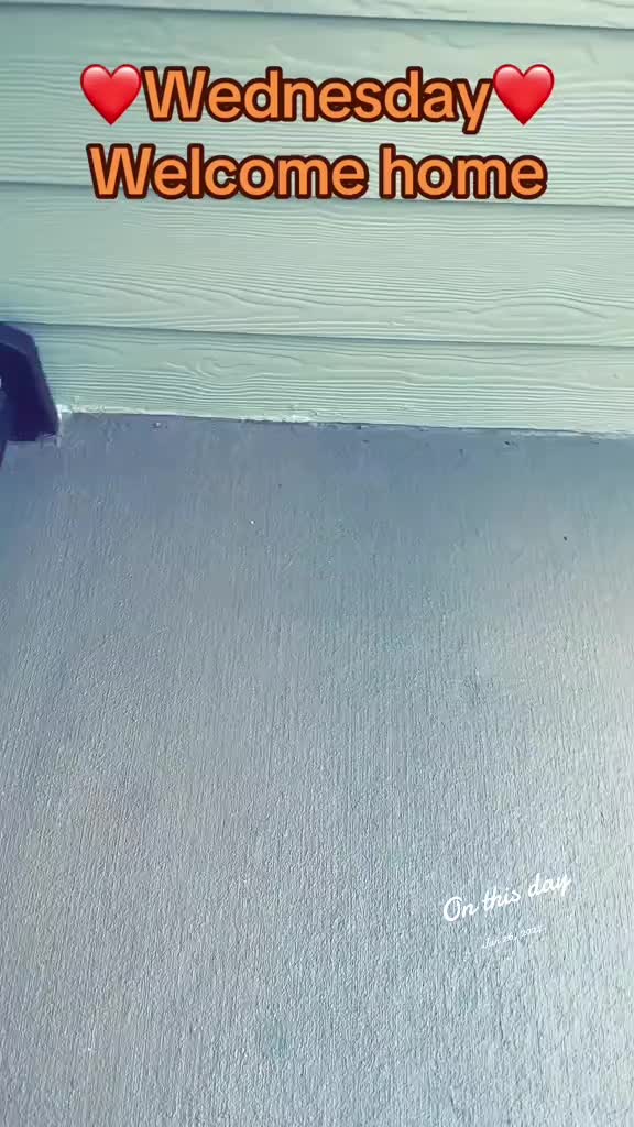 @Pablo & Luigi 🐾
