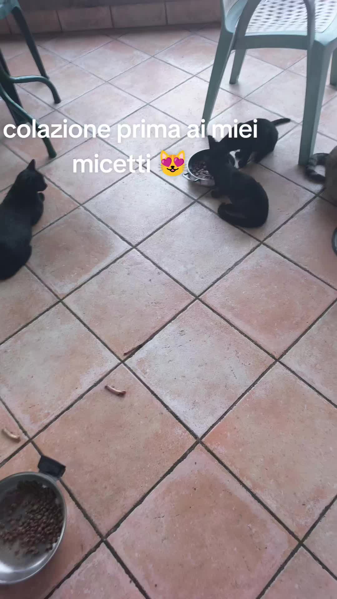 @Patriziakekapokkia