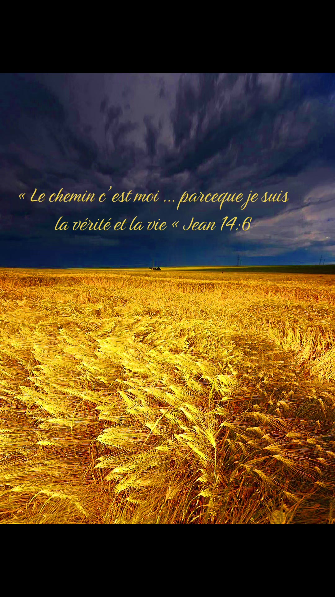 @Le Clin D&rsquo;Oeil Animal