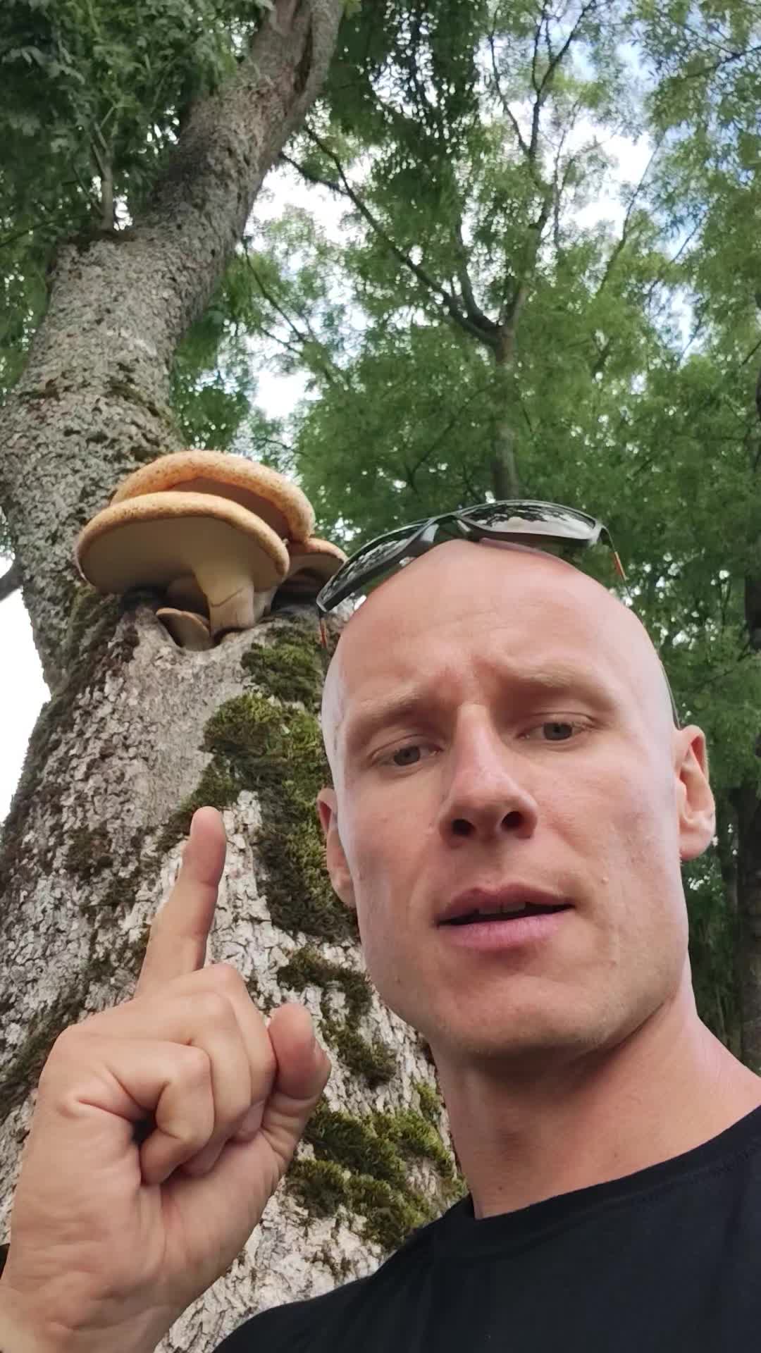 @Stonson_93