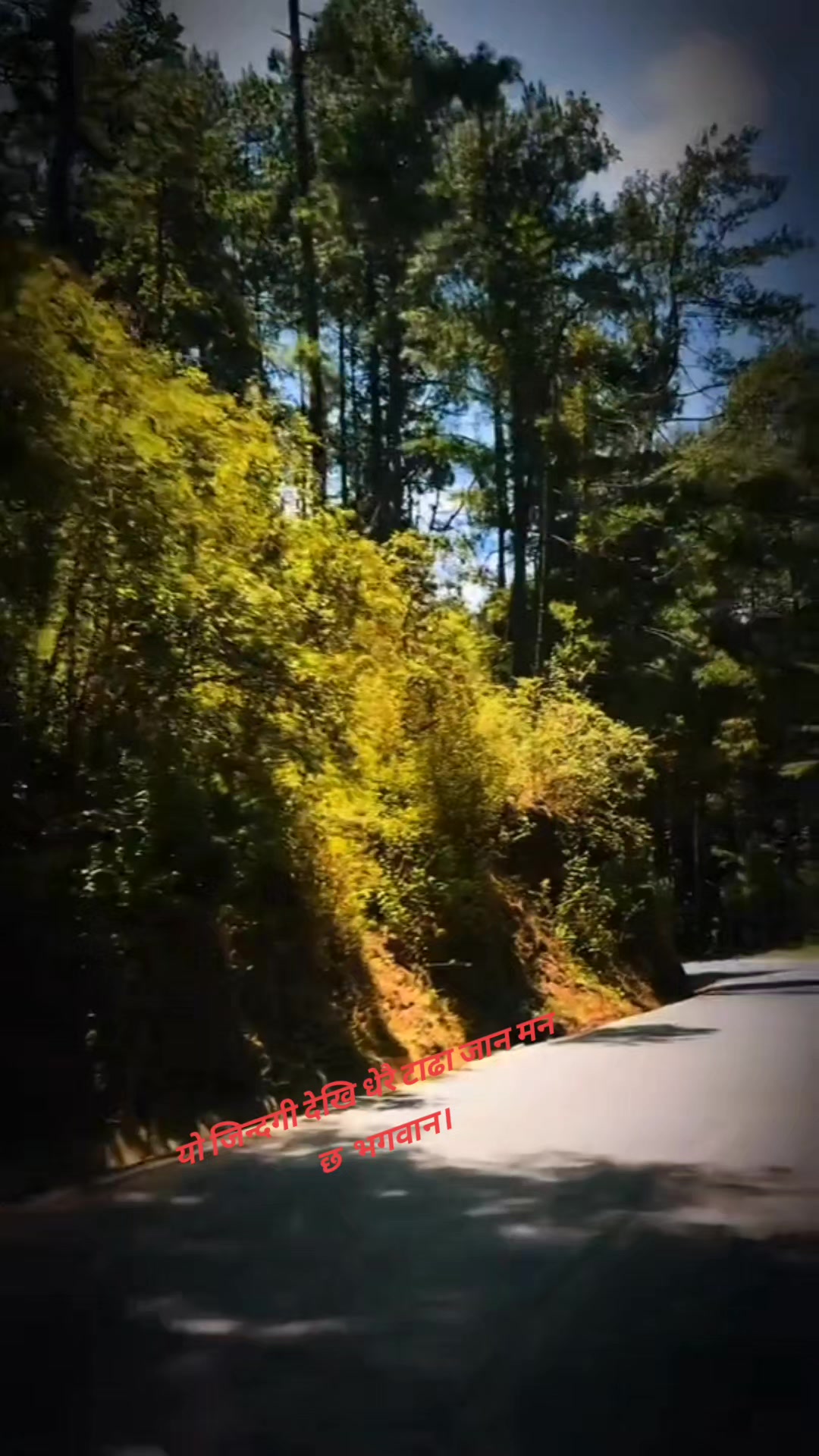 @इमान चा