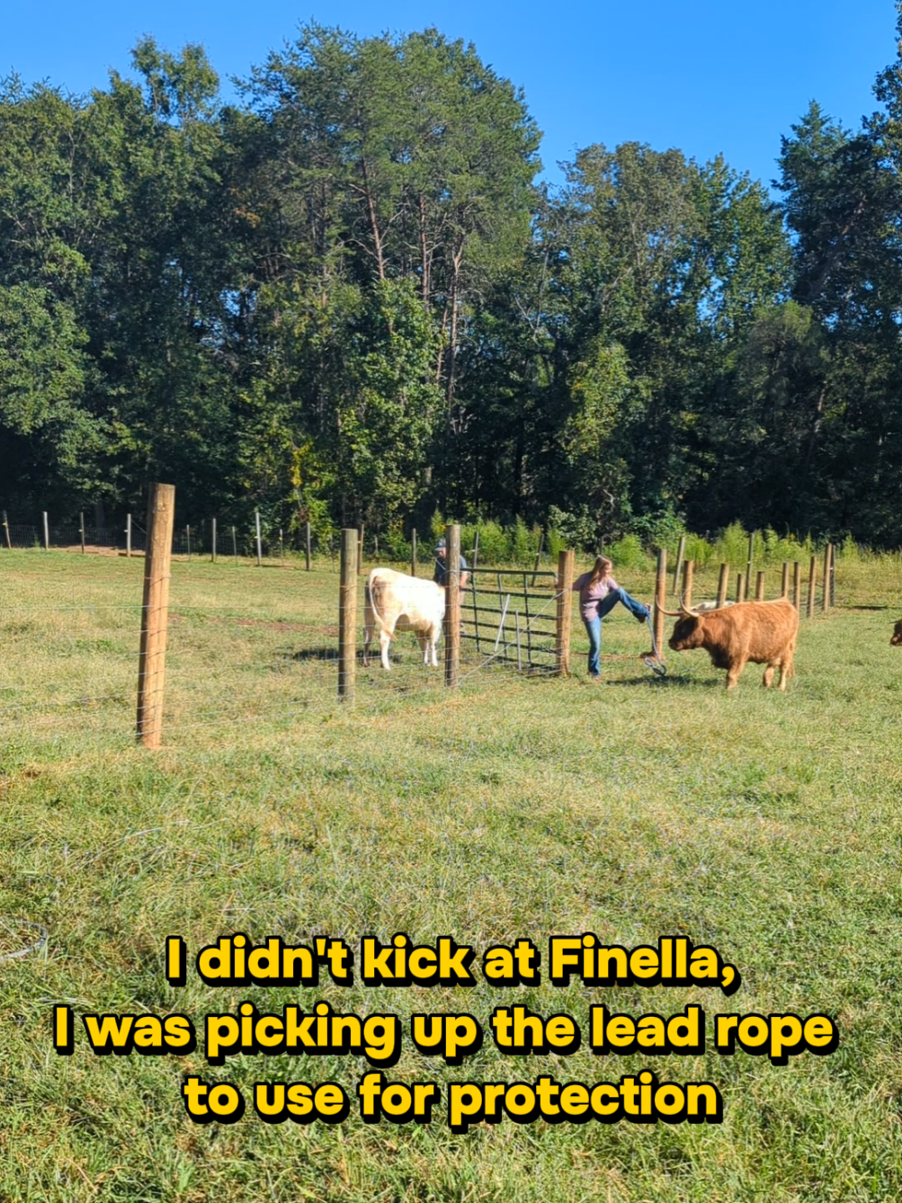 @backwoods