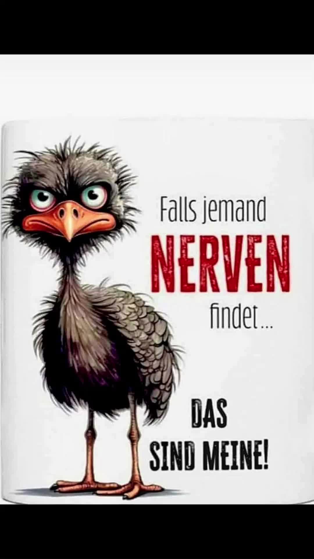 @Suse66