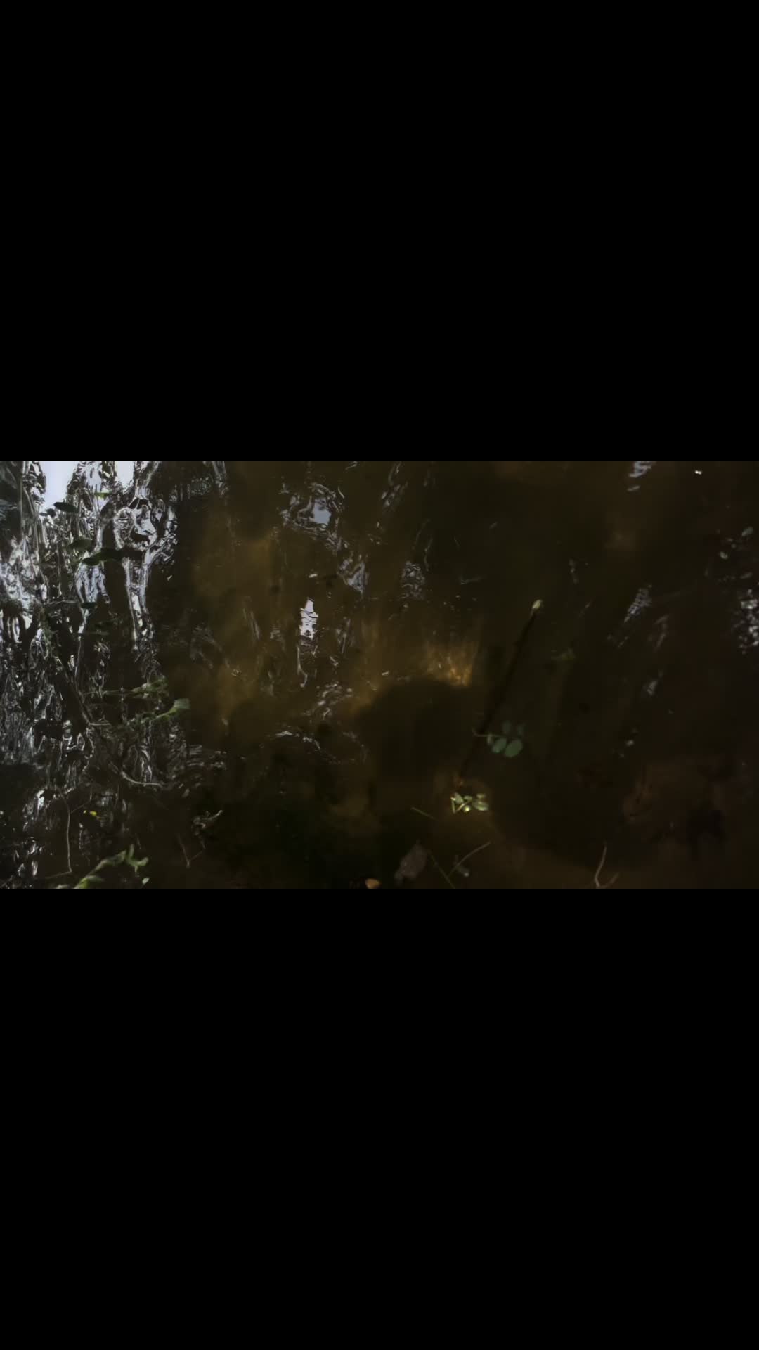 @mocxkrt
