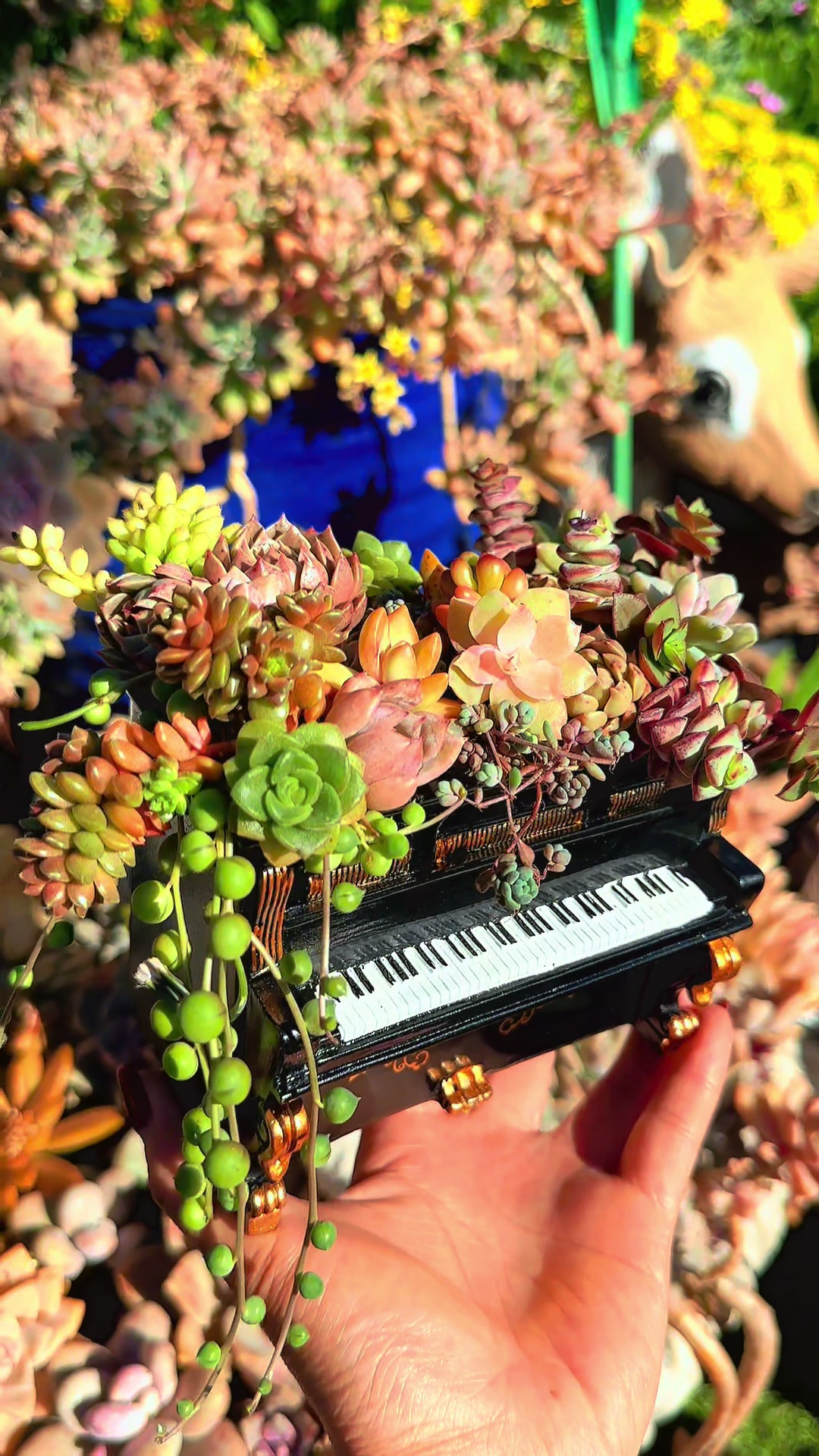 @euphoriablooms