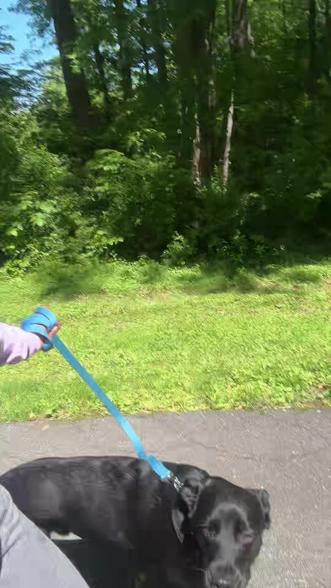 @Ej