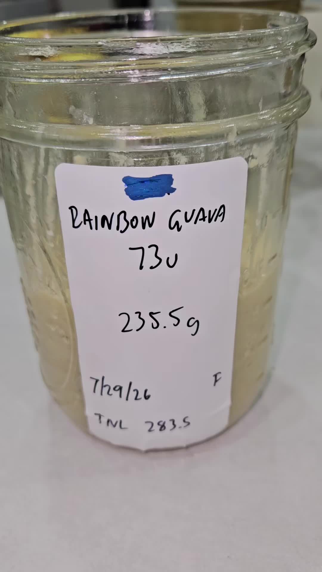 @Lobo Solo