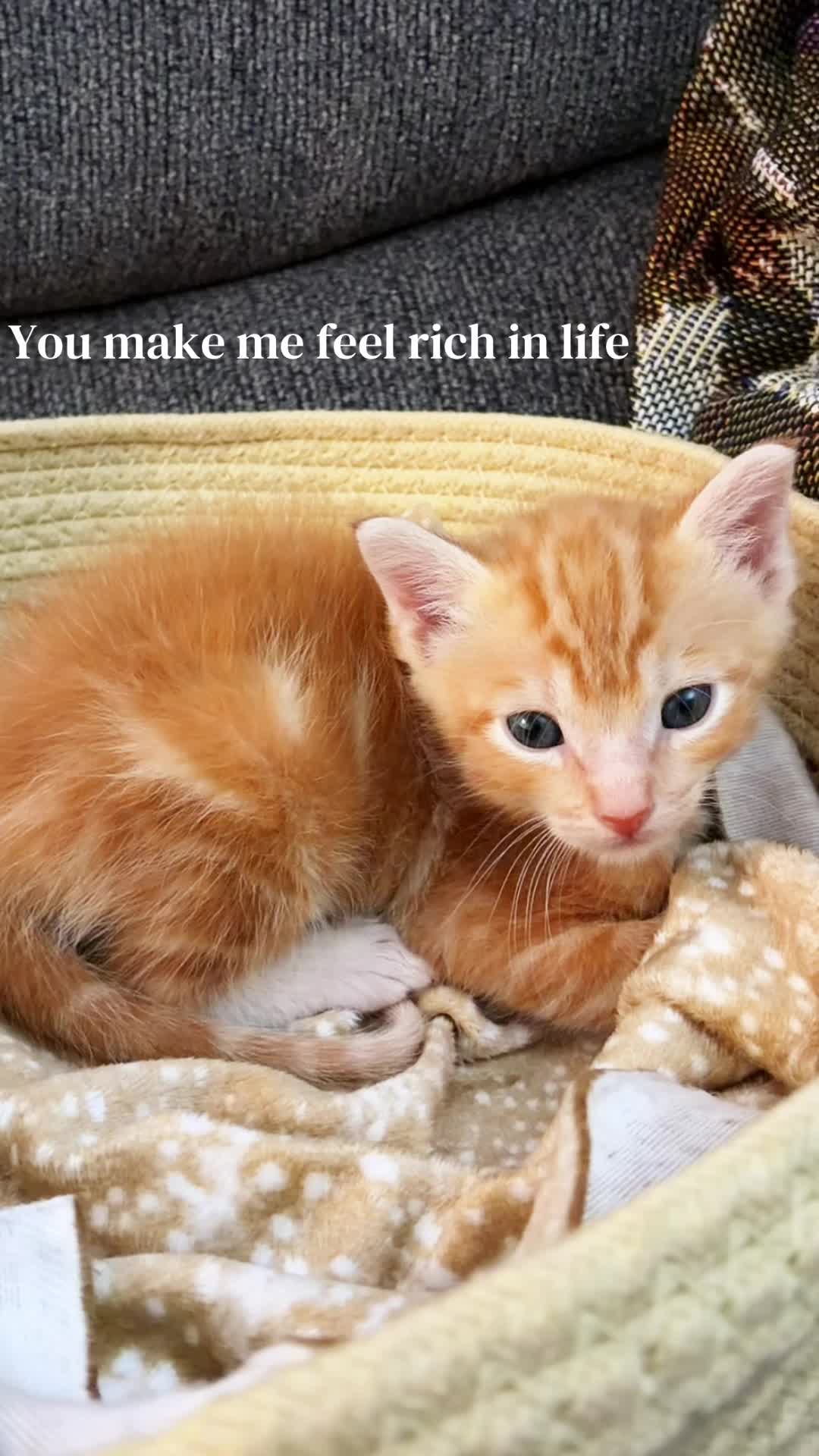 @interestinglilcreature
