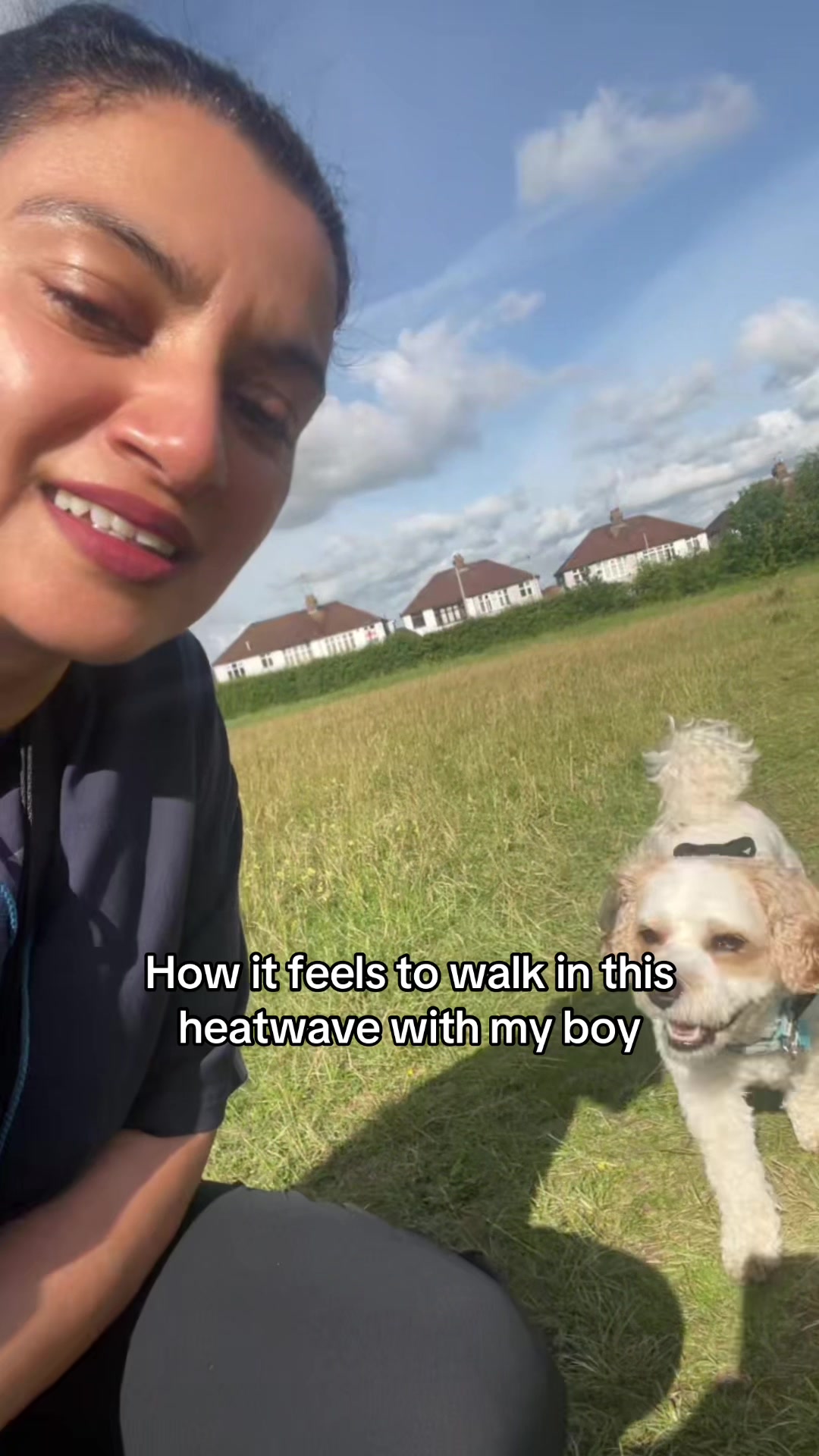 @My Cavachon
