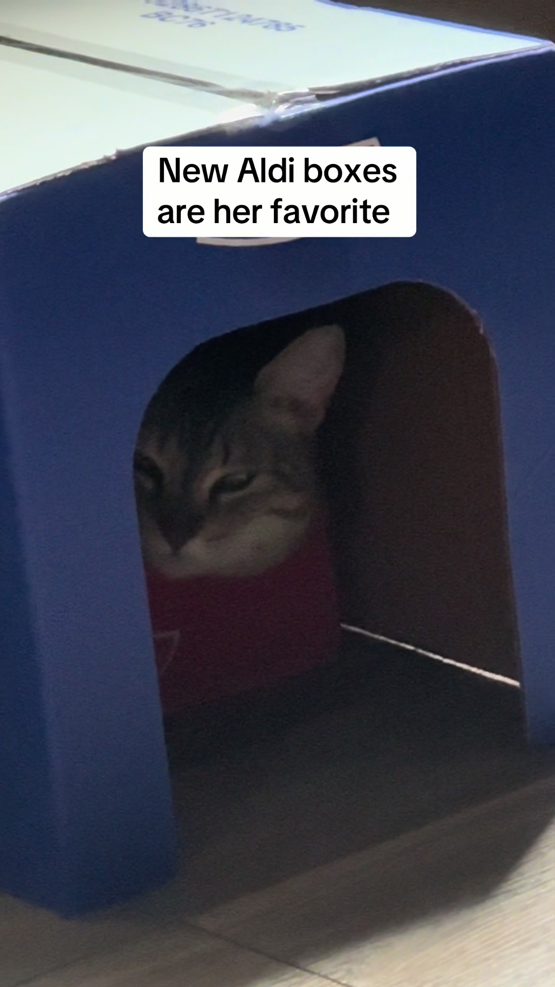 @Luke & Leia Catwalker