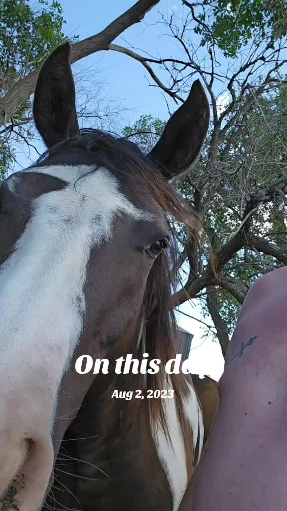 @Flint_❌ARRR Rescue Ranch