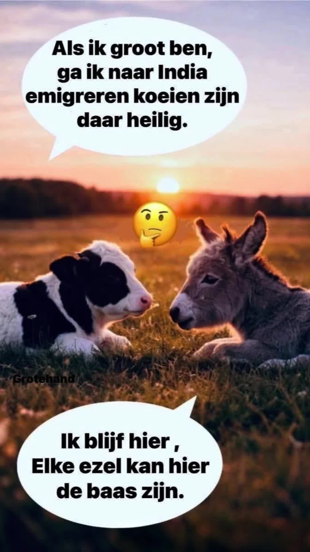 @Heikneuter41