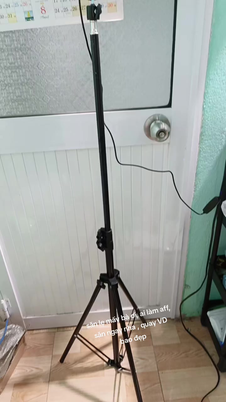 @Bích Ngọc DIỆU BÁU