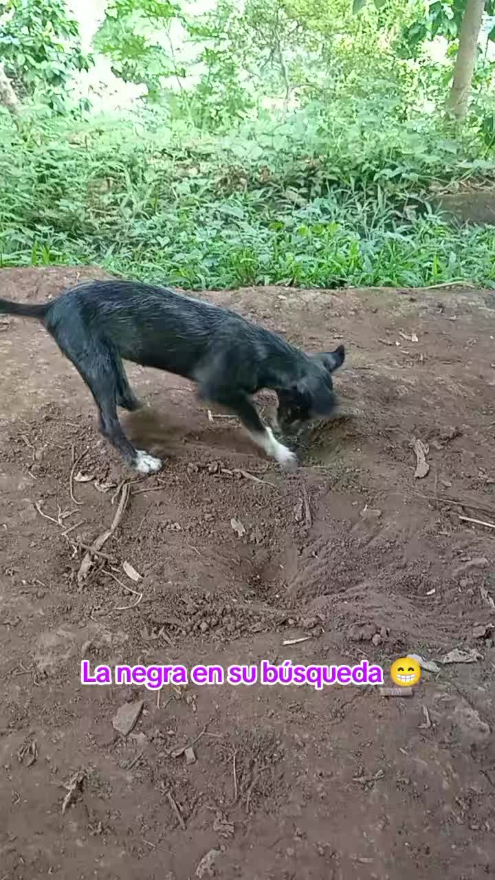 @@isamarr485