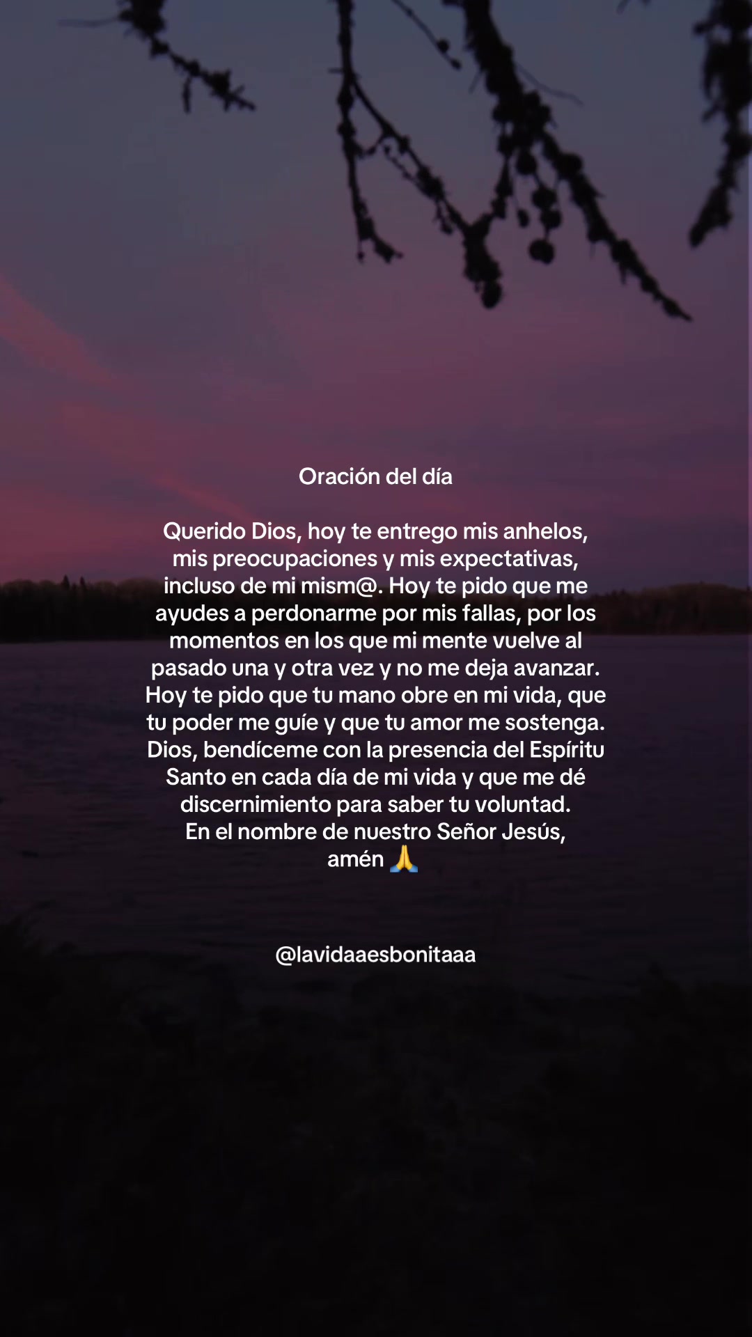 @vidabonita❤️&zwj;🩹