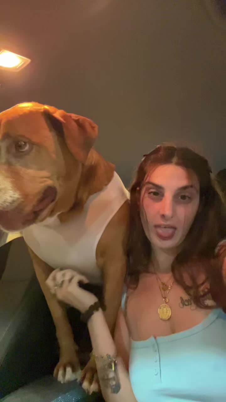@thewhydahgalley