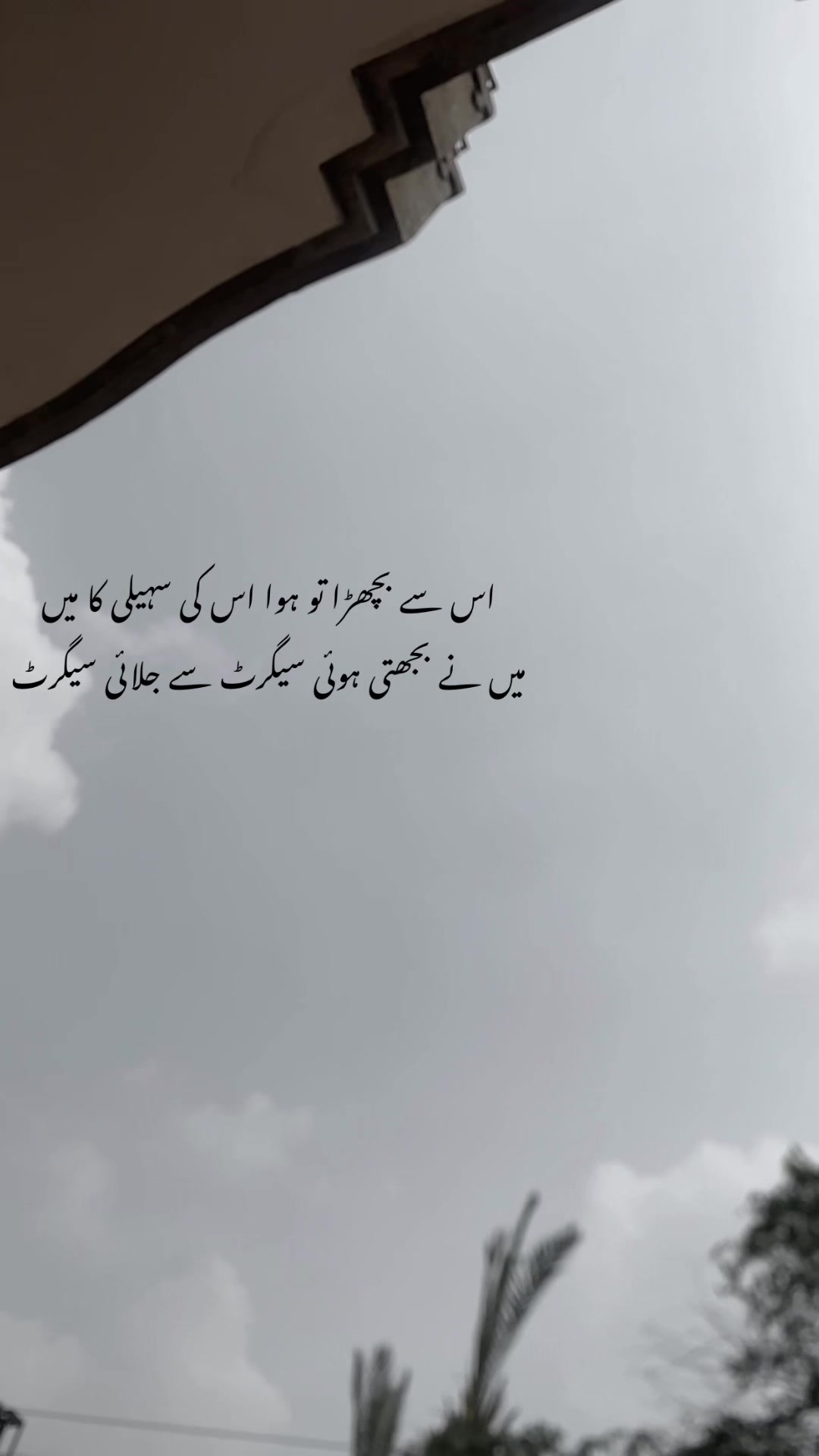 @ℍ𝕒𝕤𝕟𝕒𝕚𝕟_𝕨𝕣𝕚𝕥𝕖𝕤❤🩹