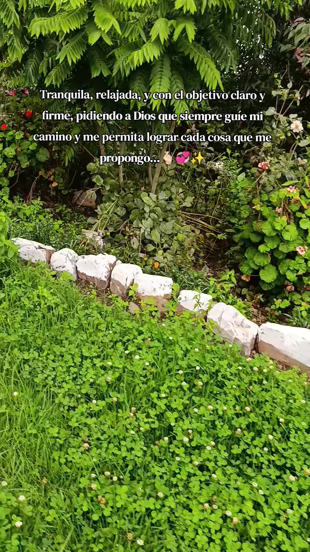 @🌸𓆩WH ƎƆNOƆ𓆪🌸