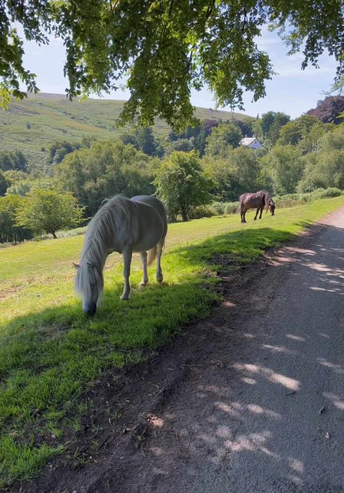 @UK Hidden Gems