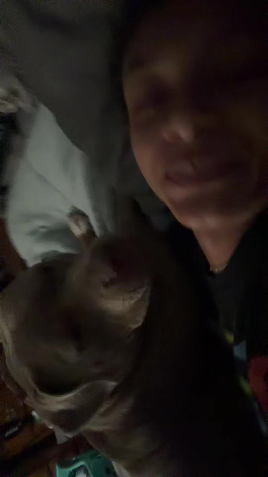 @carleeebaee