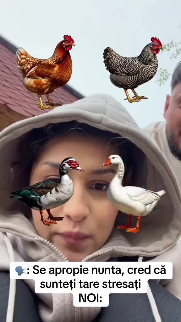 @Ștefania🤍