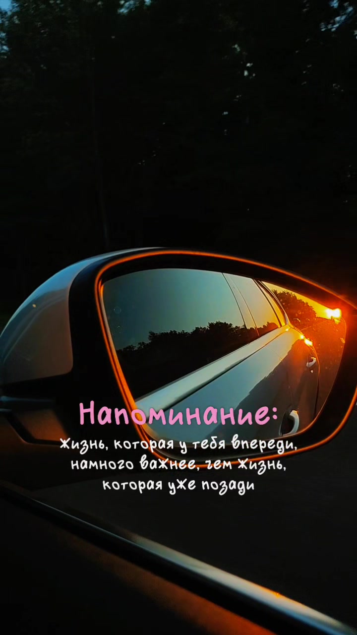 @☆꧁✬◦.𝒱.𝒮𝒽 .✬꧂☆