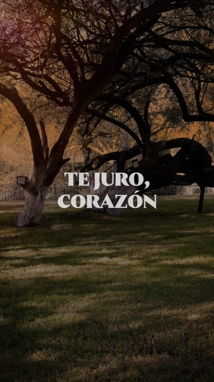 @Vicente Fern&aacute;ndez