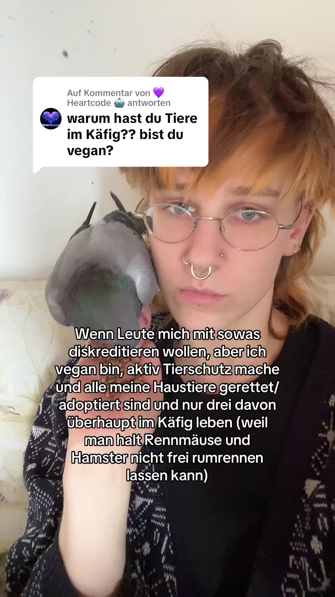 @Lisa‘s Pets