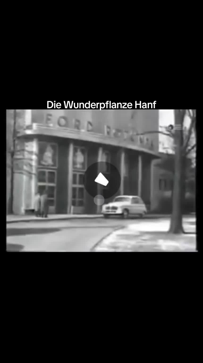 @WurzelRebellin♓
