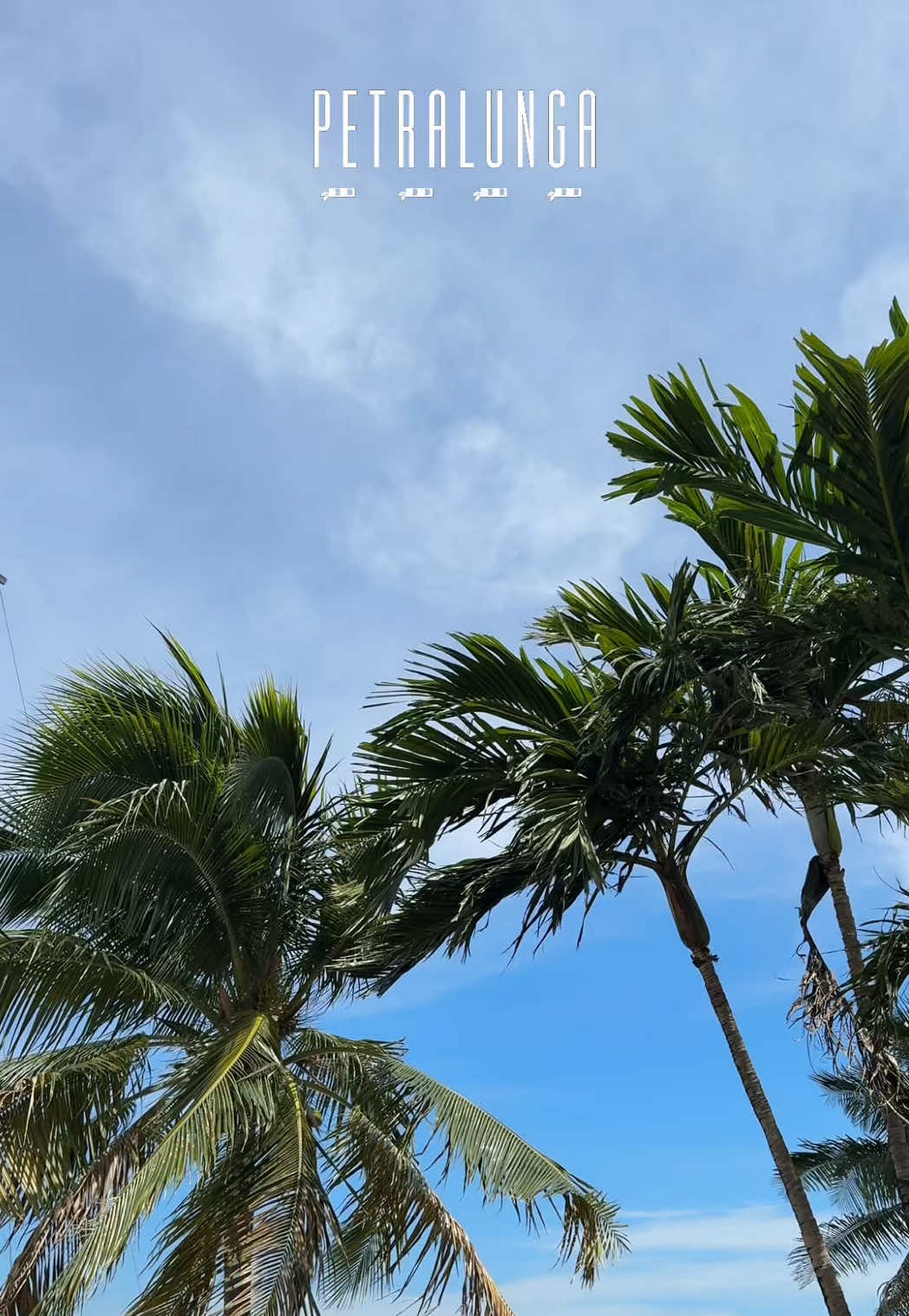 @Petralunga Miami