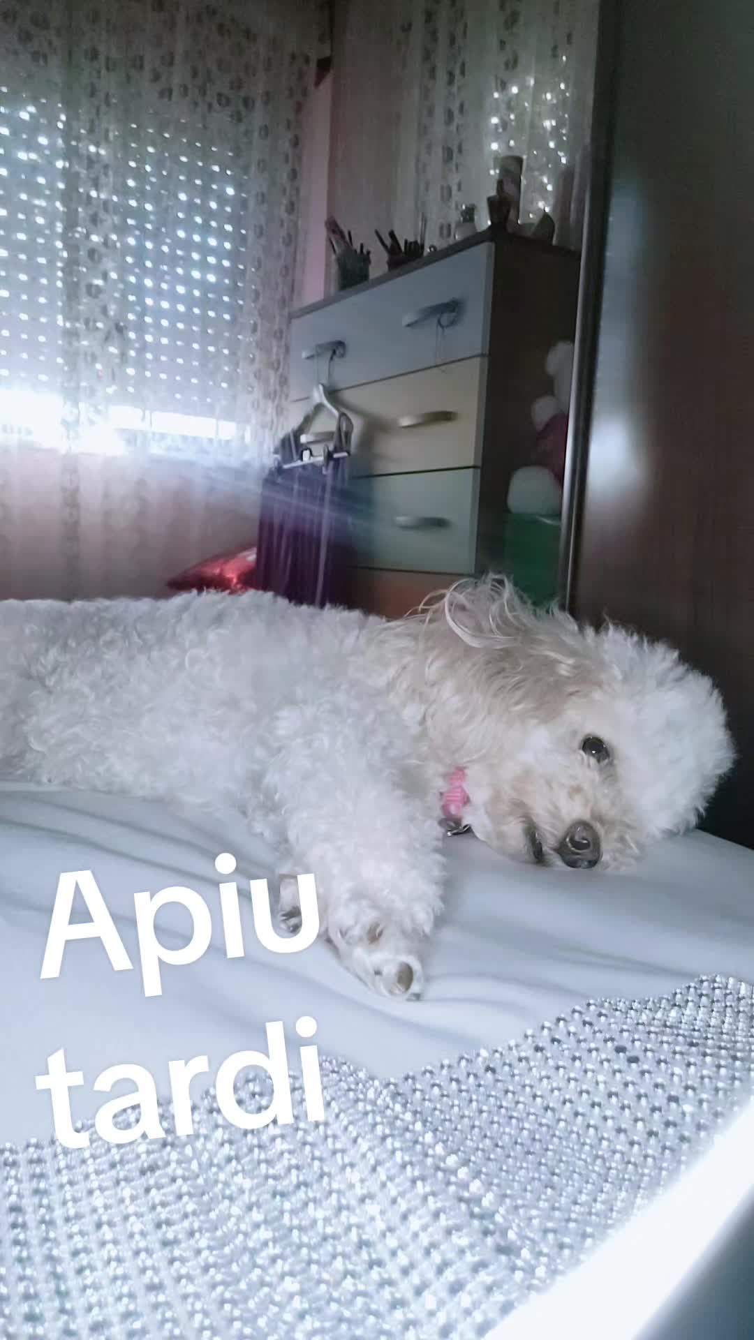 @Ade362 😊