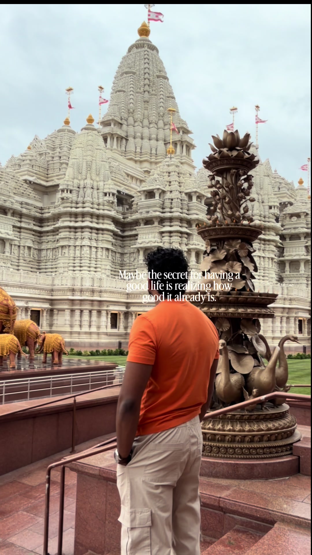 @Shameen Fernando