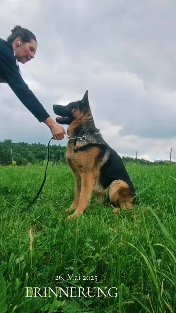 @Sonja Zoran