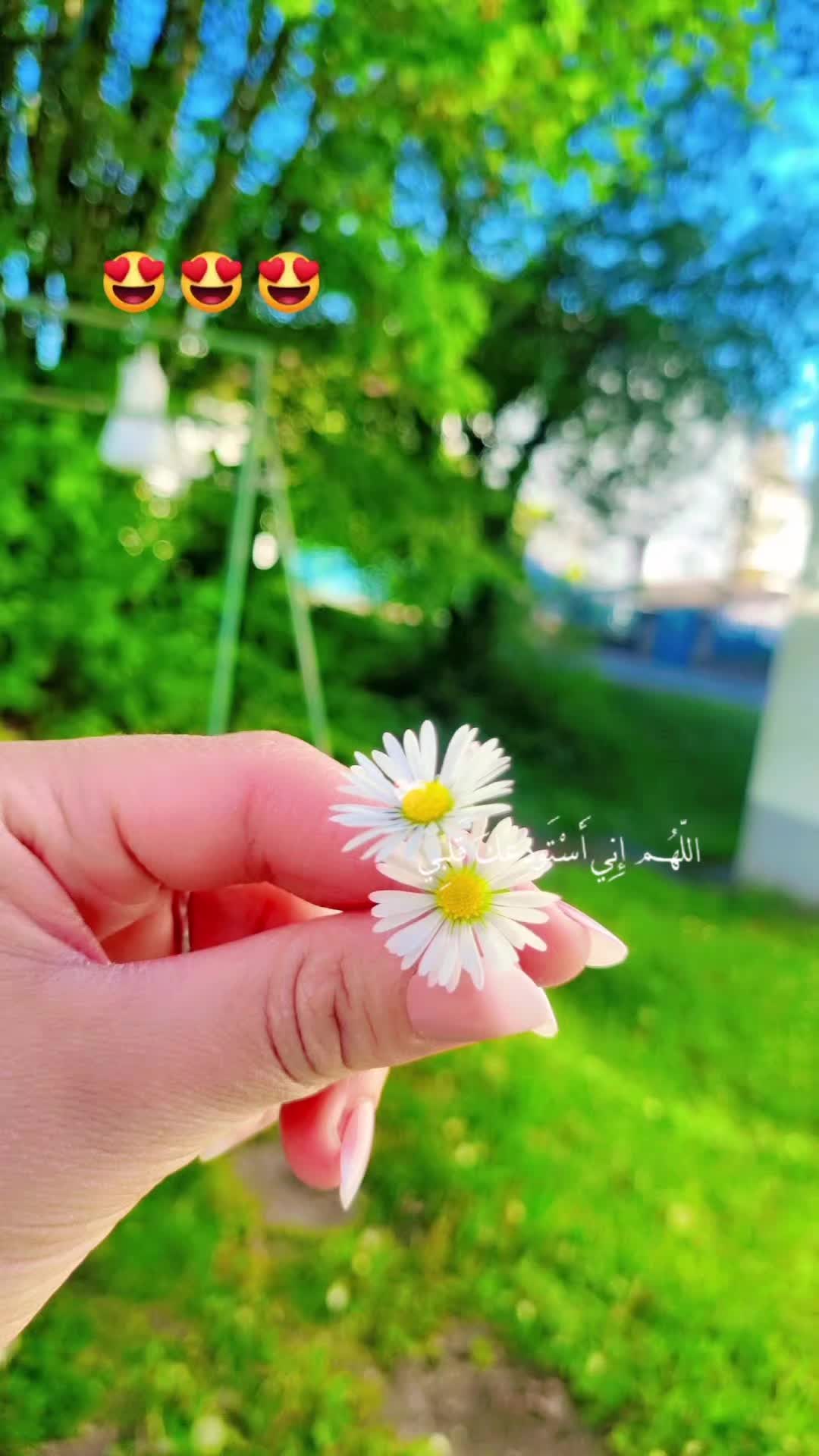 @❤️ام ريان❤️