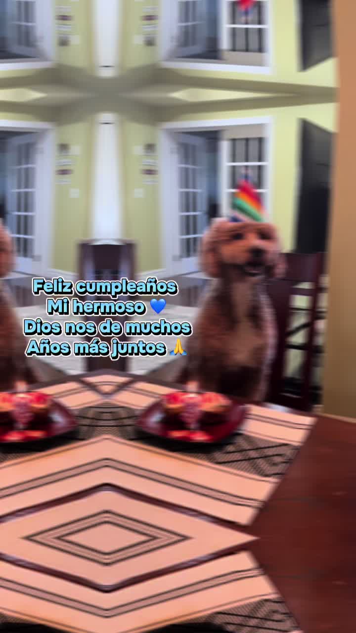 @Reyna y Churro 🐶😍