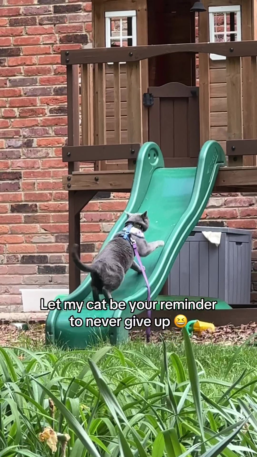 @Amber & Whiskey