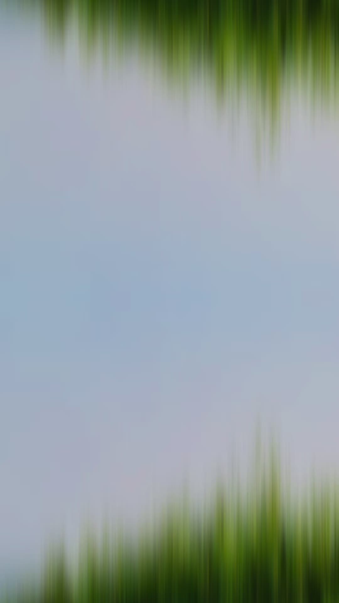 @▄︻デ--{𝔇𝔄𝔇𝔄}--══━一🔥