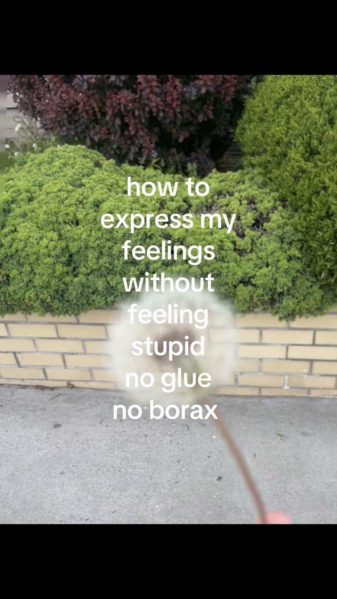 @︎ ︎