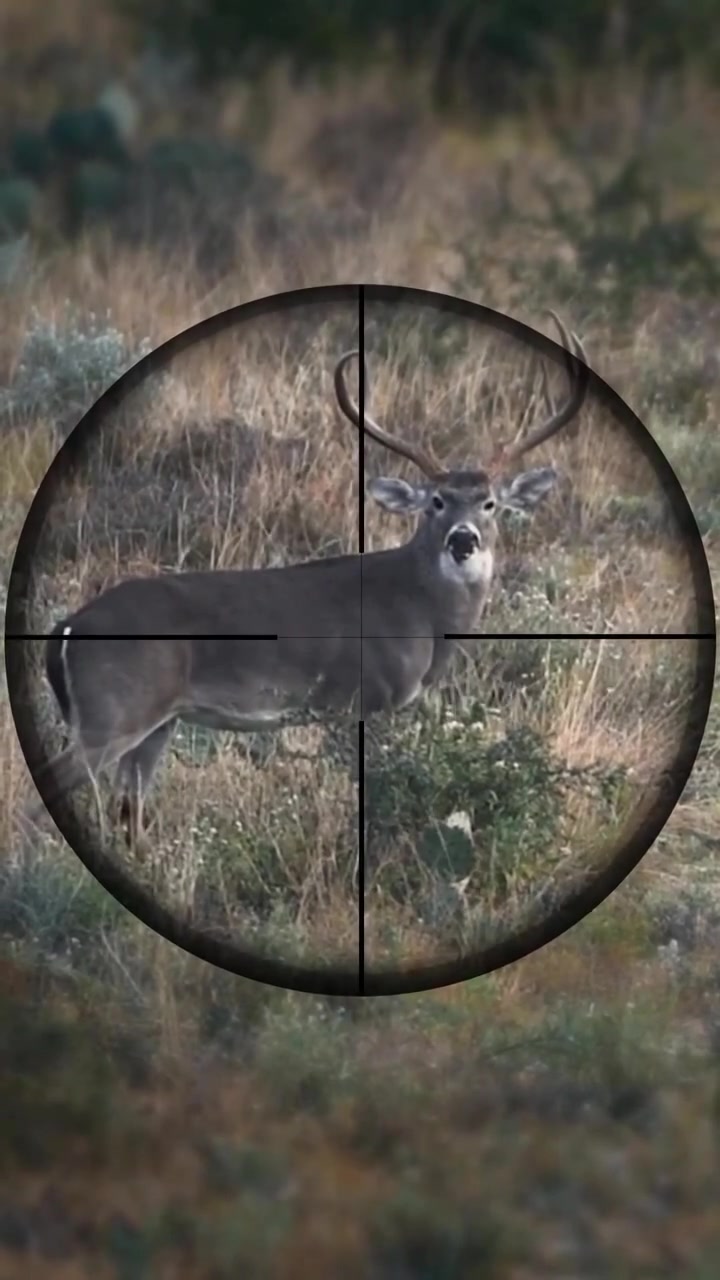 @Buckmasters Outdoors