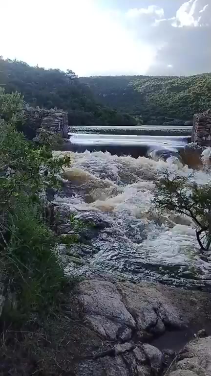 @gansomartinez21