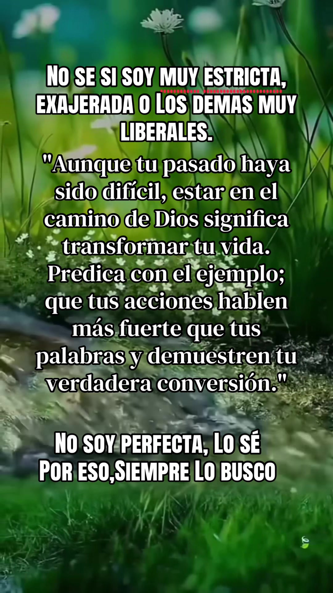 @💫🇲🇽✨ɢǟɮʏɢ ʟǟ ʍǟɖʀɨռǟ✨🇨🇦💫
