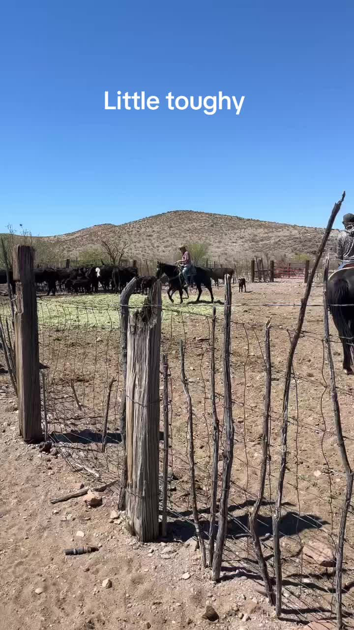 @carlosthecowpuncher
