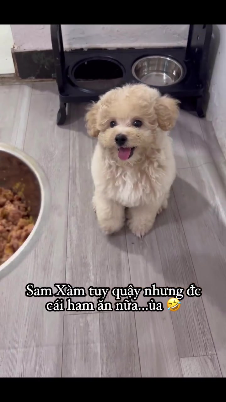 @Sam Xàm phiêu lưu ký