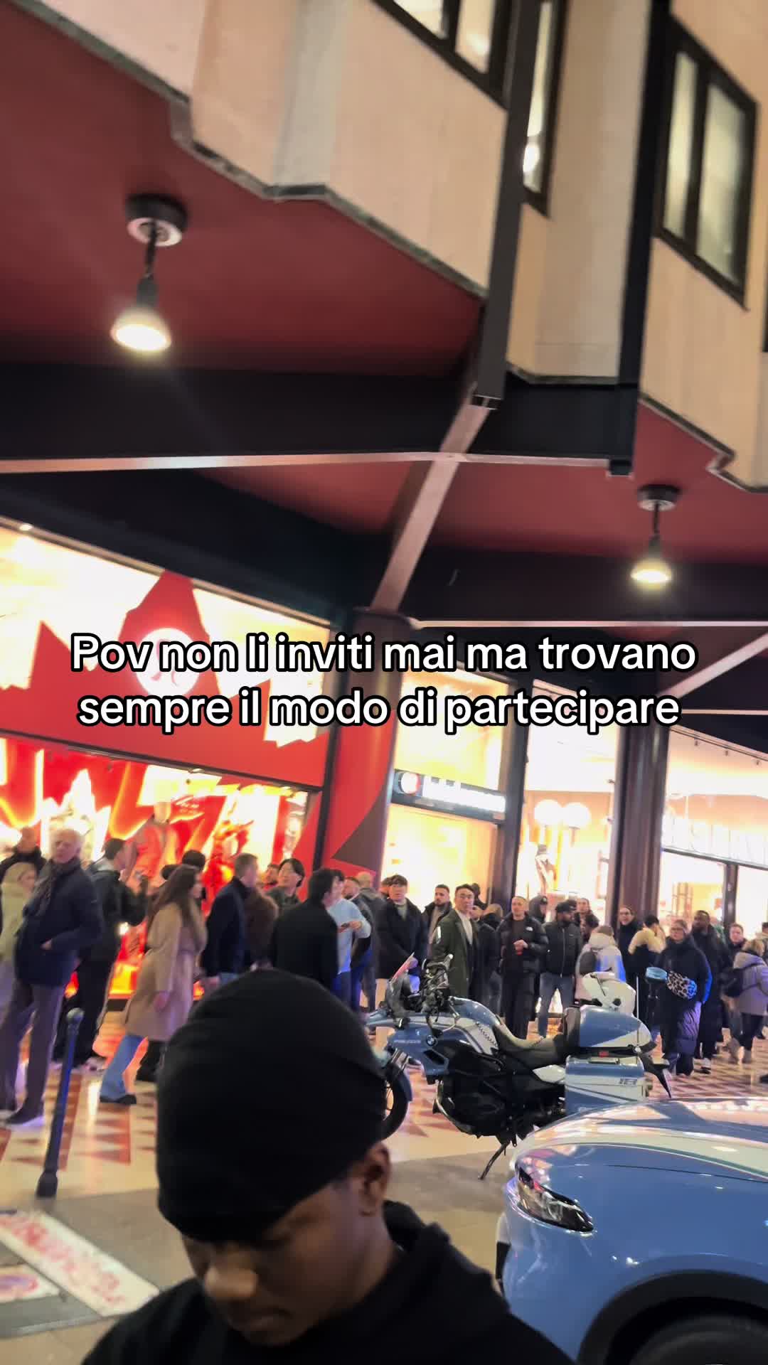 @gattinocattolico