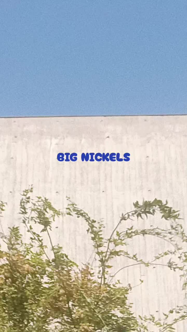 @big nickels