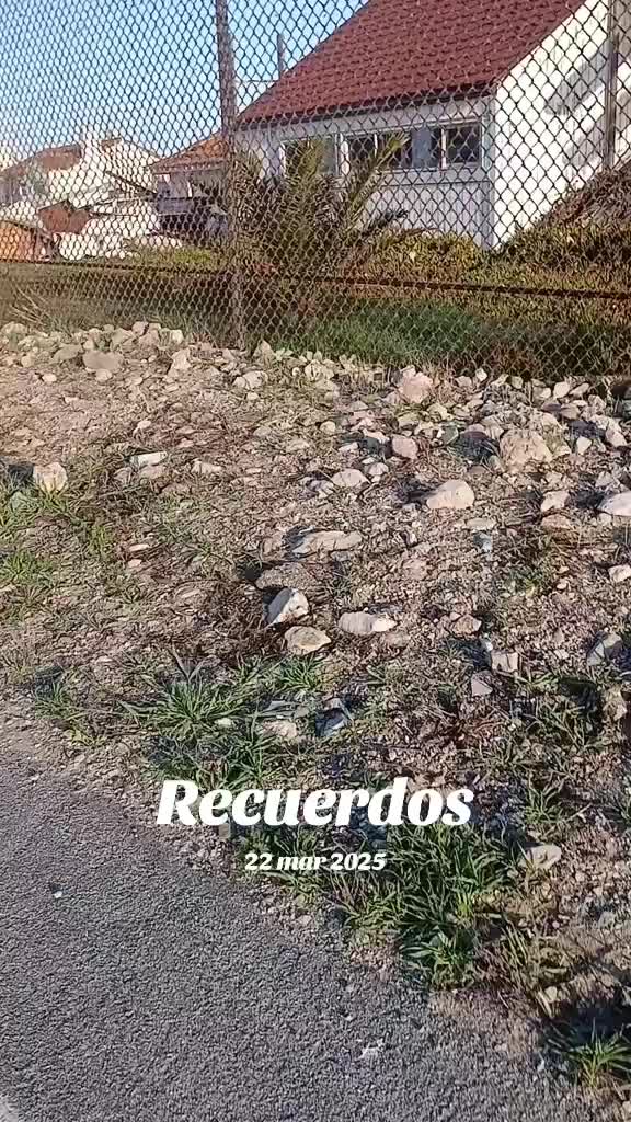 @🇲🇽🤎✨️Queen 🤎🌹👻🐛😺🦕🦜🩷