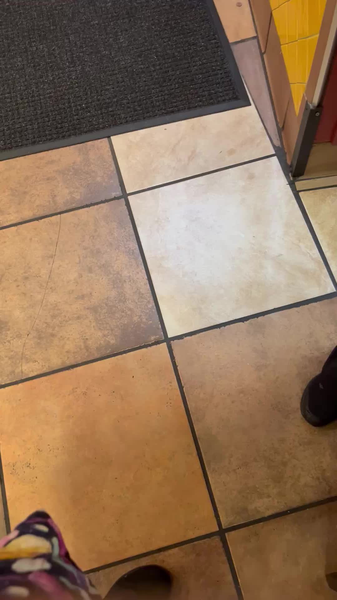 @TacoBellChipmunk