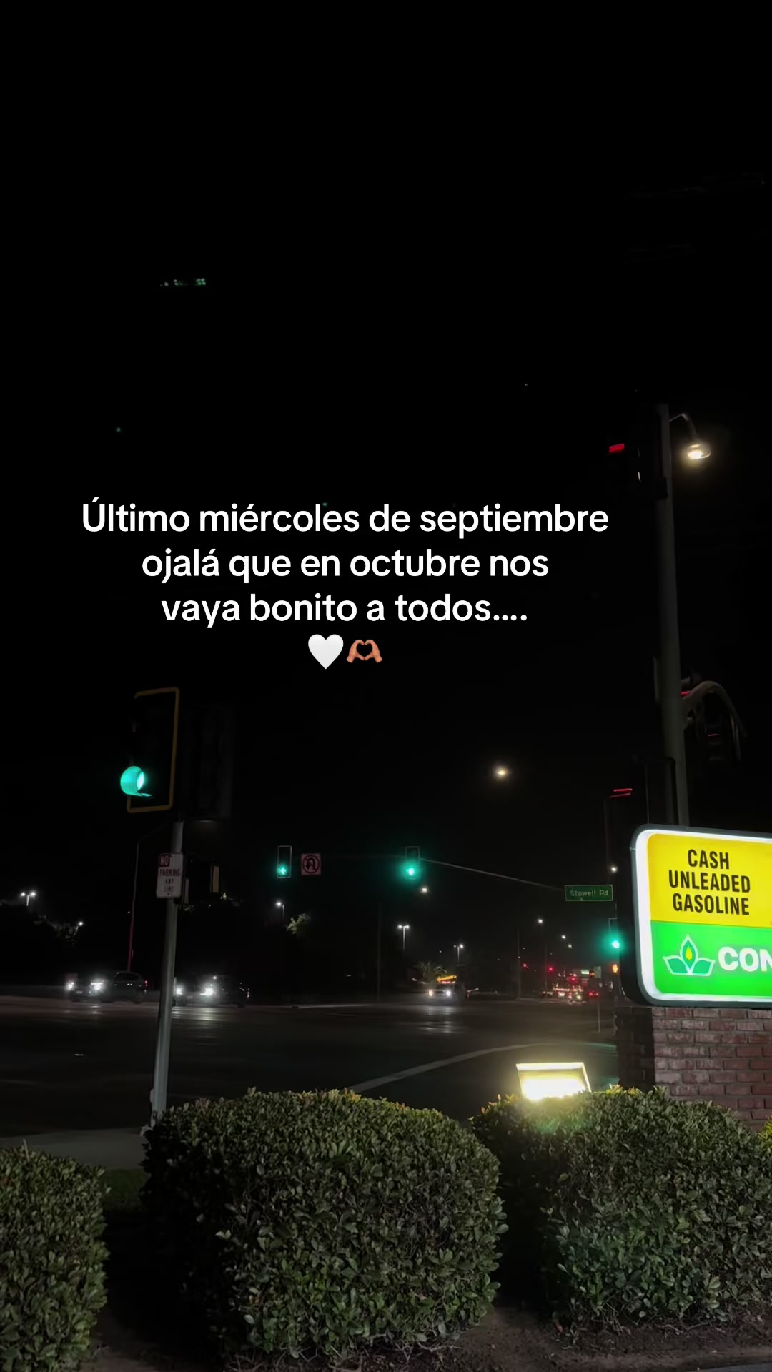 @SL Vega🦦..
