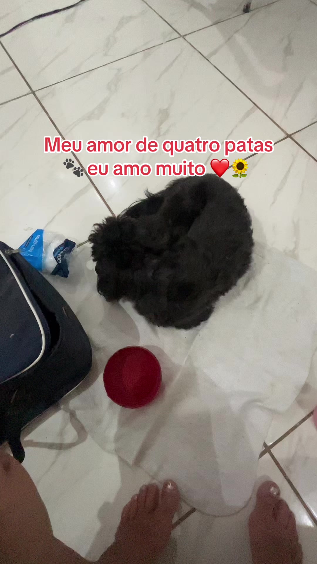 @fabiconsultora