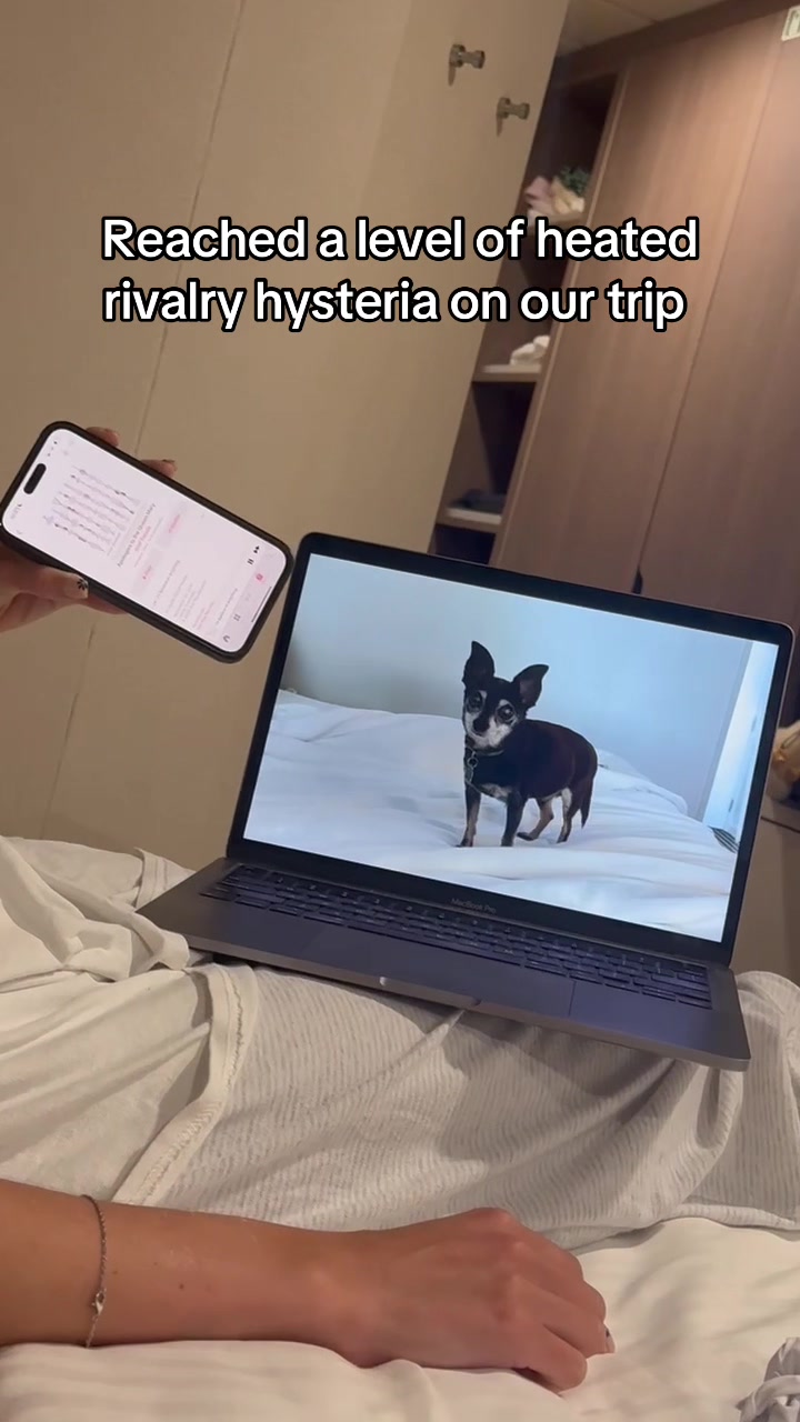 @olivia 🫶